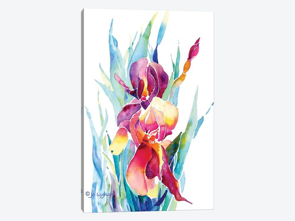 Iris Flower by Jo Lynch 1-piece Canvas Wall Art