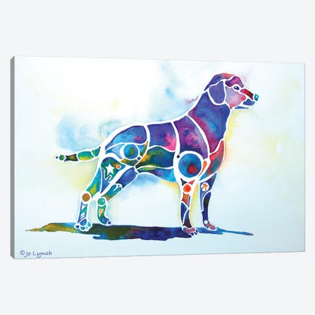 Labrador Retriever Canvas Print #JLY106} by Jo Lynch Canvas Print