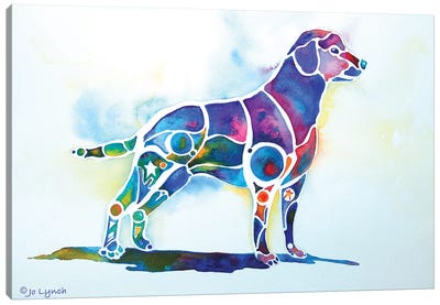 Labrador Retriever Canvas Art Print - Jo Lynch