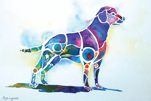 Jo Lynch: Labrador Retriever by Jo Lynch