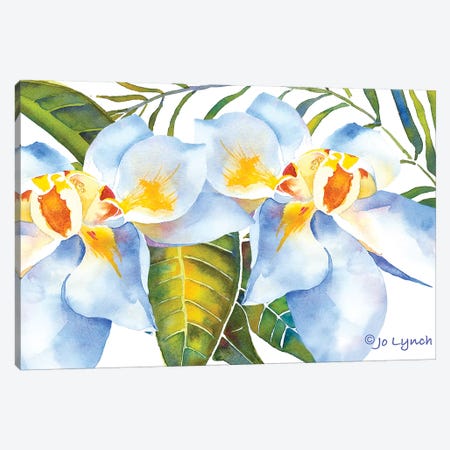 Magnolia w Leaves Canvas Print #JLY110} by Jo Lynch Art Print