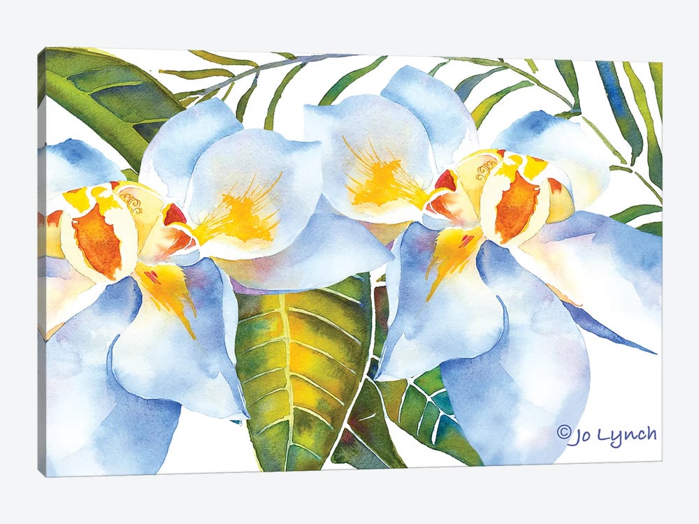 Magnolia w Leaves by Jo Lynch 1-piece Canvas Art Print
