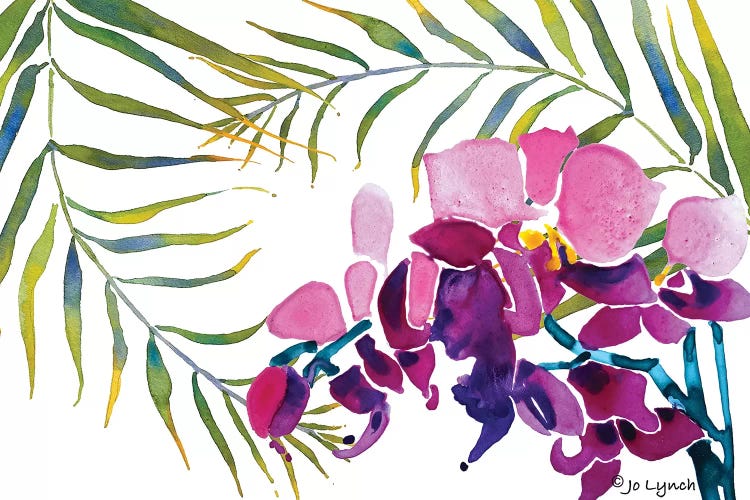 Orchid Leaves by Jo Lynch wall art
