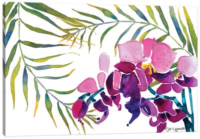 Orchid Leaves Canvas Art Print - Jo Lynch