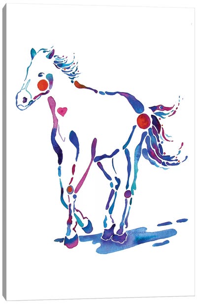 Pony Horse Canvas Art Print - Jo Lynch