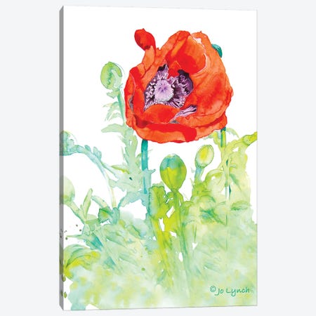 Poppy Art Flower Canvas Print #JLY123} by Jo Lynch Canvas Artwork
