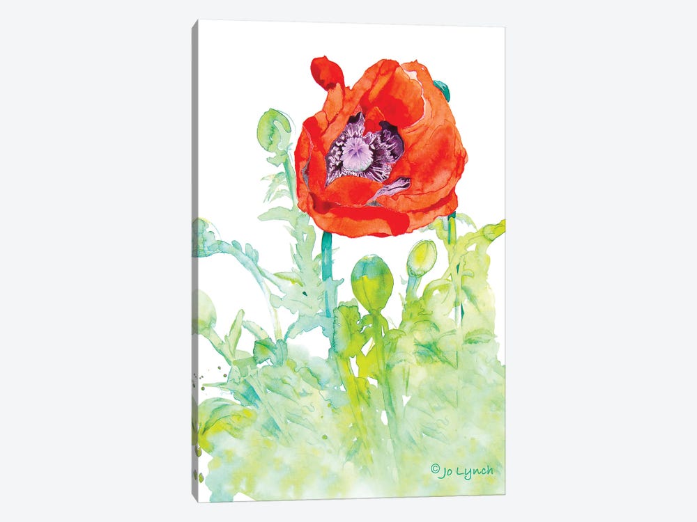Poppy Art Flower by Jo Lynch 1-piece Canvas Print