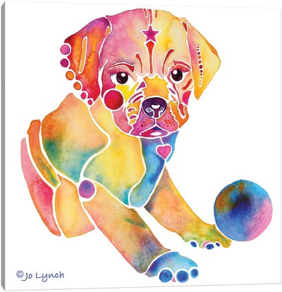 Puggle Dog Puppy Canvas Art Print - Jo Lynch