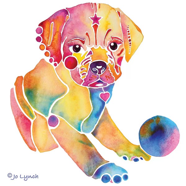 Jo Lynch: Puggle Dog Puppy by Jo Lynch