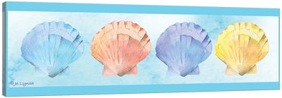 Shells Beach Canvas Art Print - Jo Lynch