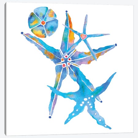 Three Starfish And A Sand Dollar Canvas Print #JLY143} by Jo Lynch Canvas Art