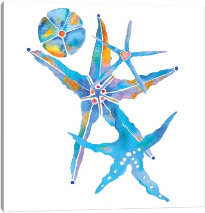 Three Starfish And A Sand Dollar Canvas Art Print - Sand Dollar Art