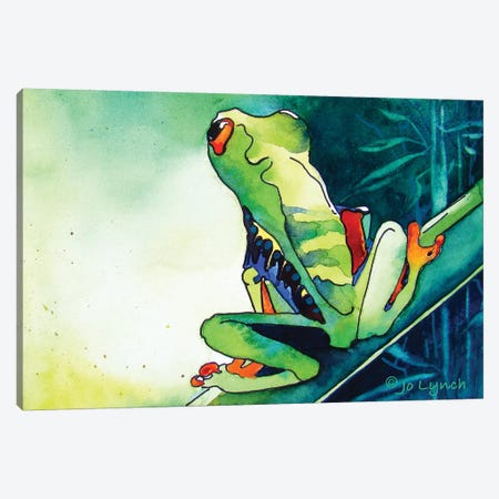 Tree Frog Green II Canvas Print #JLY149} by Jo Lynch Canvas Art