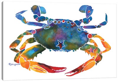 Crabby  Canvas Art Print - Jo Lynch