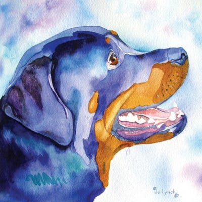 Rottie Blues by Jo Lynch framed wall art