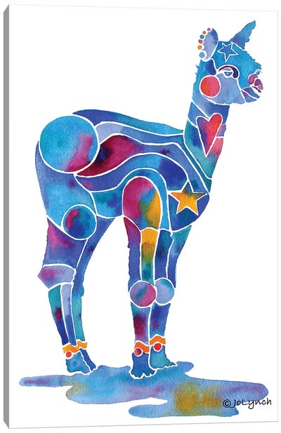 Alpaca Cria Canvas Art Print
