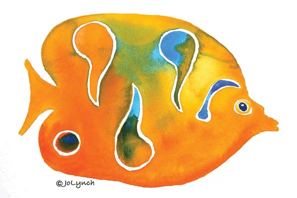 Jo Lynch: Fish Small Orange by Jo Lynch