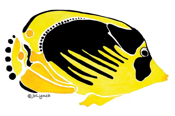 Jo Lynch: Fish Yellow Black by Jo Lynch