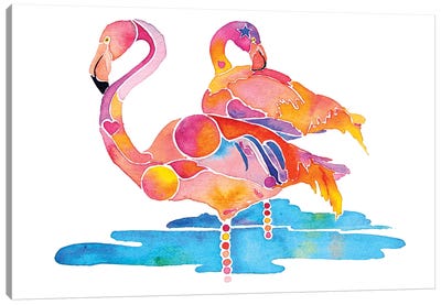 Flamingos Canvas Art Print - Jo Lynch