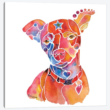 Rescue Dog Mooch Canvas Print #JLY50} by Jo Lynch Canvas Artwork