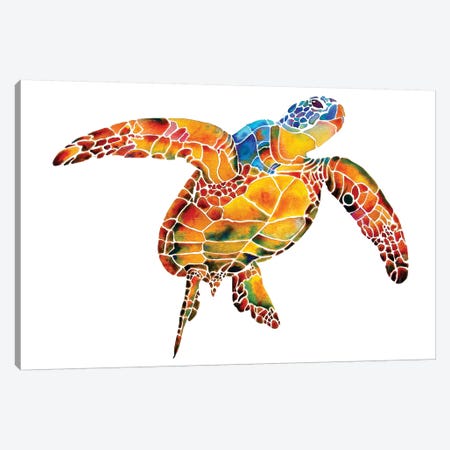 Sea Turtle I Canvas Print #JLY54} by Jo Lynch Canvas Print