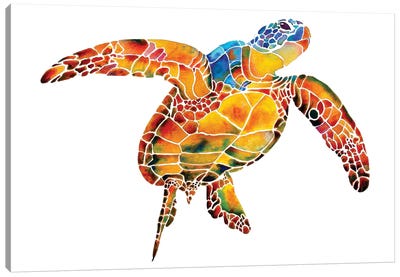 Sea Turtle I Canvas Art Print - Reptile & Amphibian Art