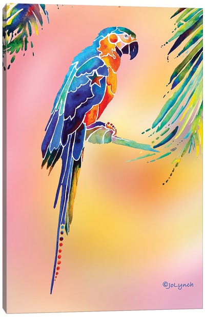 Tropical Parrot Canvas Art Print - Jo Lynch