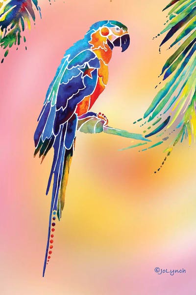 Jo Lynch: Tropical Parrot by Jo Lynch