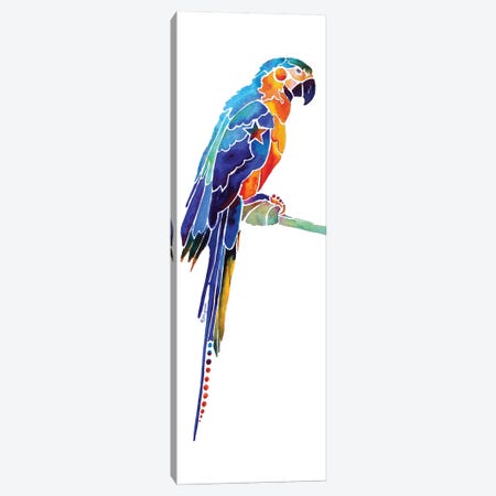 Tropical Parrot I Canvas Print #JLY60} by Jo Lynch Canvas Art Print
