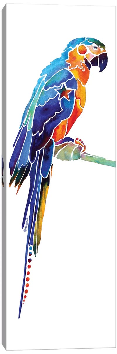 Tropical Parrot I Canvas Art Print - Jo Lynch