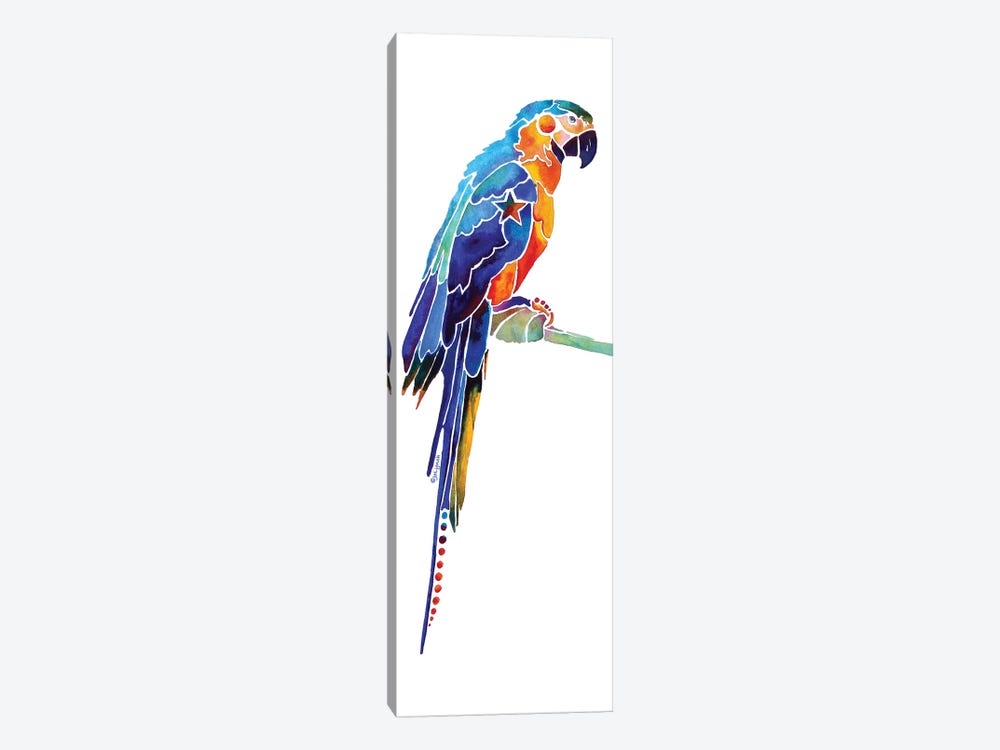 Tropical Parrot I by Jo Lynch 1-piece Canvas Print