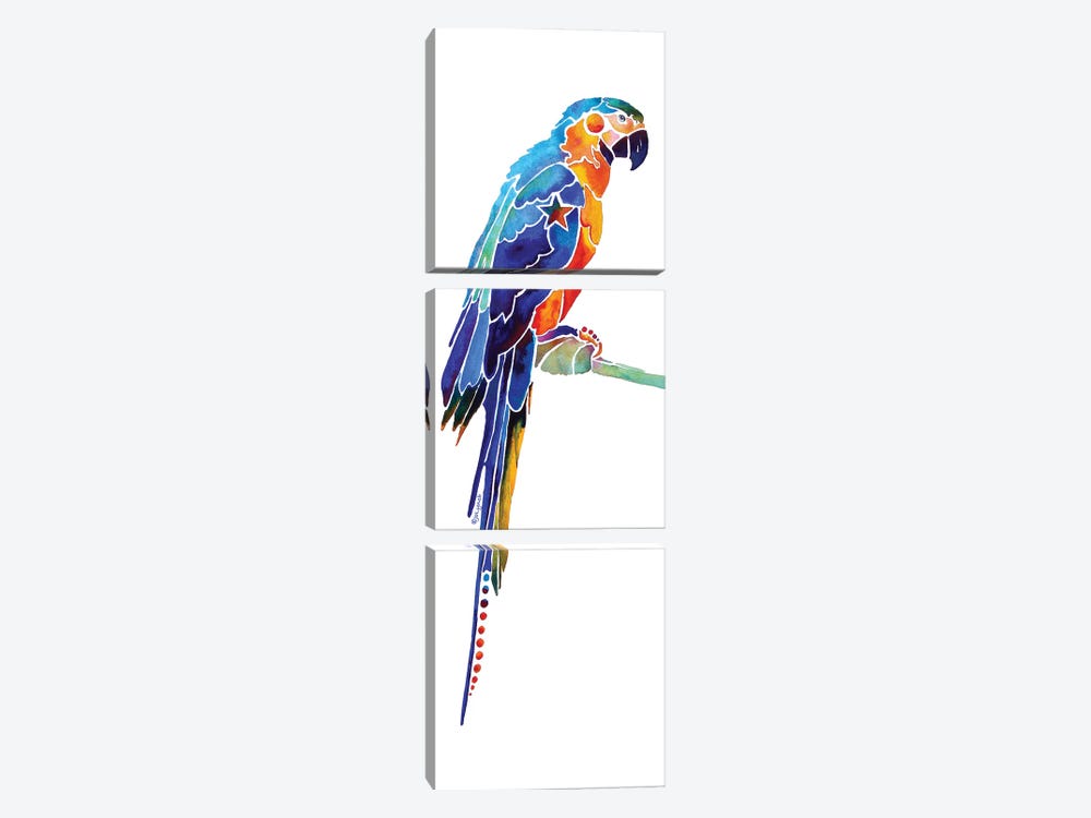 Tropical Parrot I by Jo Lynch 3-piece Canvas Art Print