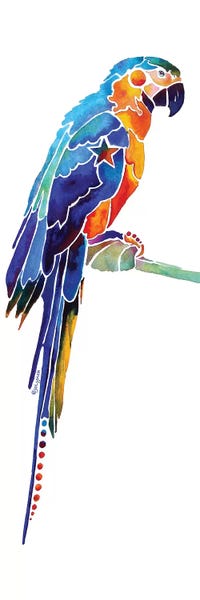 Jo Lynch: Tropical Parrot I by Jo Lynch