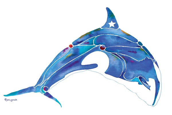 Jo Lynch: Whale Orca by Jo Lynch