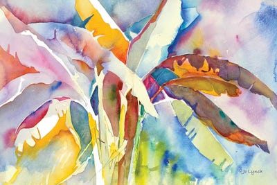 Bannana Palm Plant by Jo Lynch canvas print