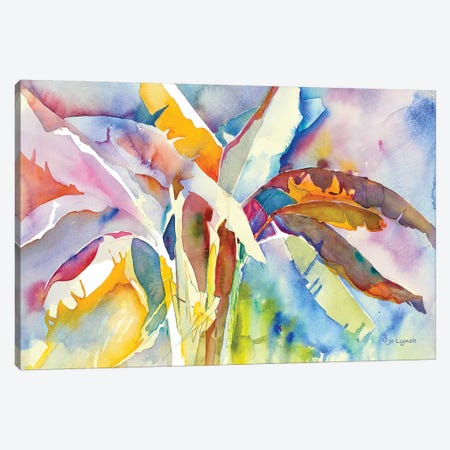 Bannana Palm Plant Canvas Print #JLY68} by Jo Lynch Art Print