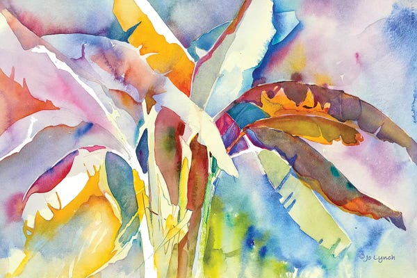 Jo Lynch: Bannana Palm Plant by Jo Lynch