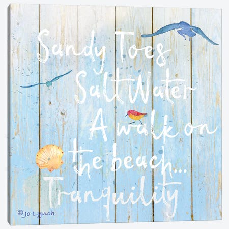 Beach Sign Sandy Toes Canvas Print #JLY72} by Jo Lynch Canvas Artwork