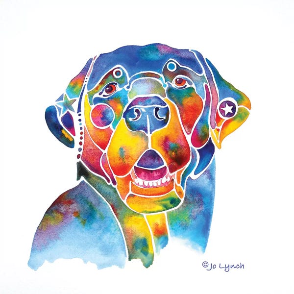 Jo Lynch: Black Labrador Lab by Jo Lynch