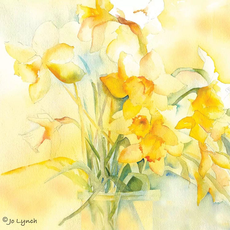 Daffodil Spring by Jo Lynch wall art