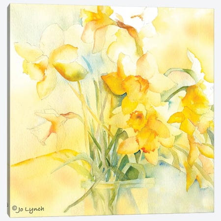 Daffodil Spring Canvas Print #JLY86} by Jo Lynch Canvas Art