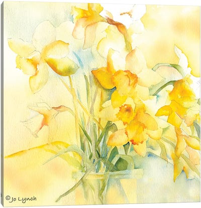 Daffodil Spring Canvas Art Print - Jo Lynch
