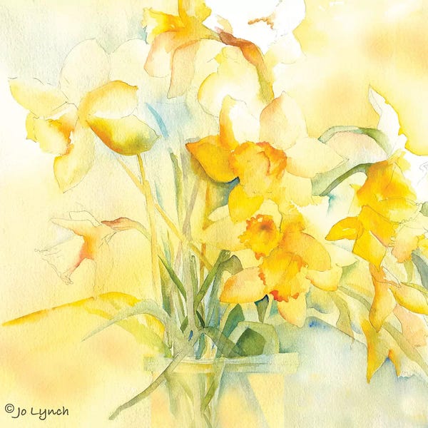 Daffodils: Daffodil Spring by Jo Lynch