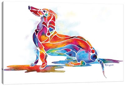 Doxie Dachshund Dog Canvas Art Print - Jo Lynch