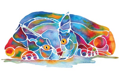 Calypso Cat by Jo Lynch framed canvas print