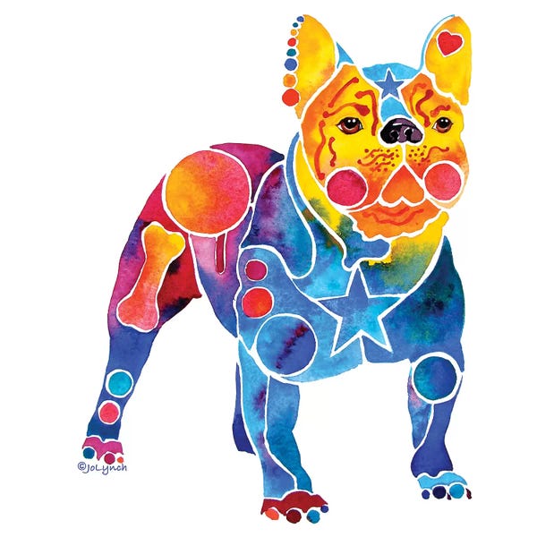 Jo Lynch: French Bulldog by Jo Lynch