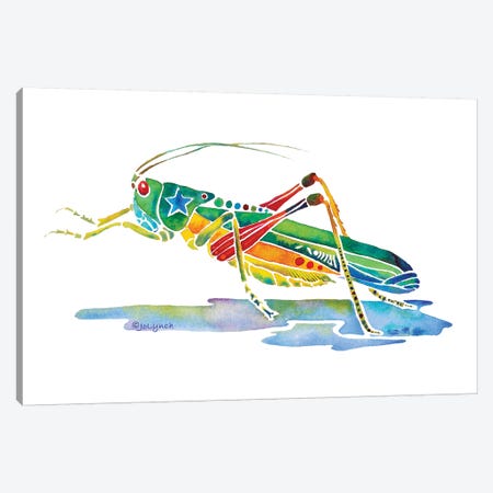 Grasshopper Insects Canvas Print #JLY96} by Jo Lynch Canvas Art Print