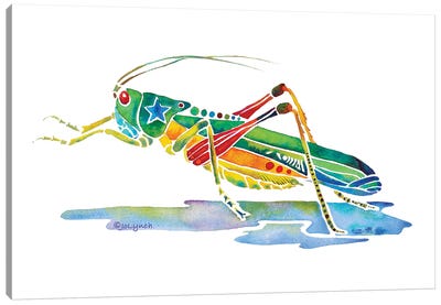 Grasshopper Insects Canvas Art Print - Grasshopper Art