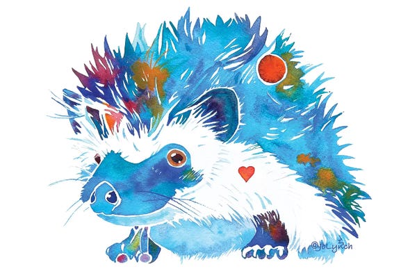 Jo Lynch: Hedgehog by Jo Lynch