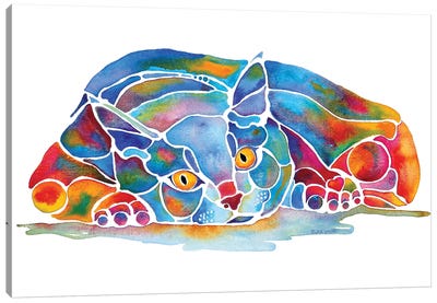 Calypso Cat Canvas Art Print - Jo Lynch